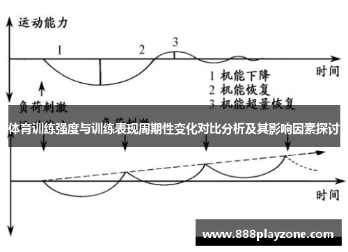 体育训练强度与训练表现周期性变化对比分析及其影响因素探讨