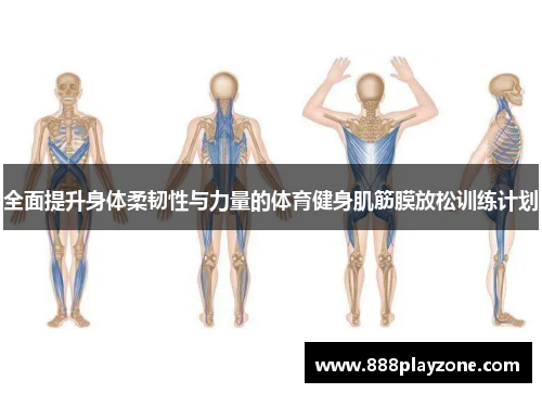 全面提升身体柔韧性与力量的体育健身肌筋膜放松训练计划